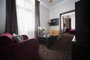 Фото номера Двухместный номер «Премиум» с 1 кроватью и диваном Отель Hotel Racibor г. Рацибуж 4